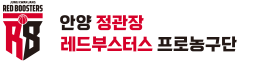 정관장레드부스터스